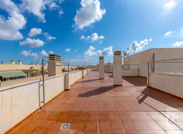 Wiederverkauf - Penthouse - Torrevieja - Centro