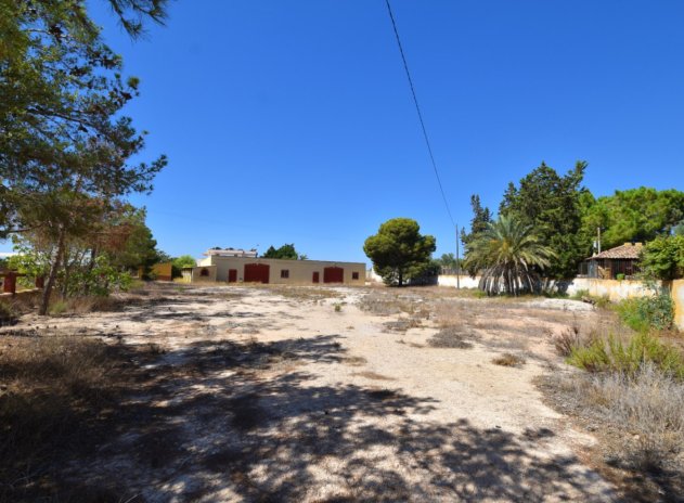 Resale - Finca- Country House - Rojales - Los Montesinos