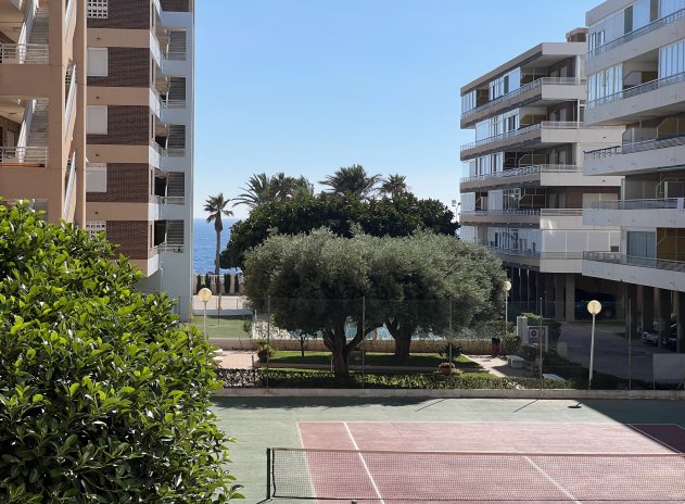 Herverkoop - Appartement / flat - Torrevieja - La Veleta