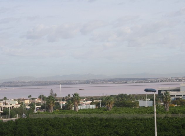 Neue Gebäude - Town House - Torrevieja - Los Altos