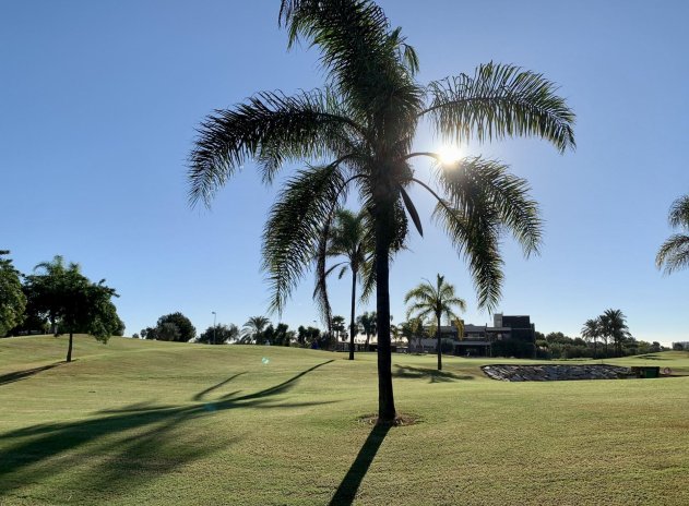 Obra nueva - Bungalow - San Javier - Roda Golf