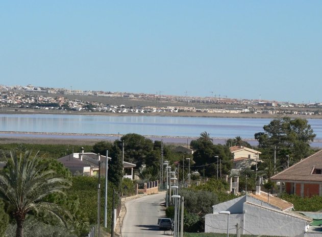 Obra nueva - Villa - Los Montesinos - La Herada