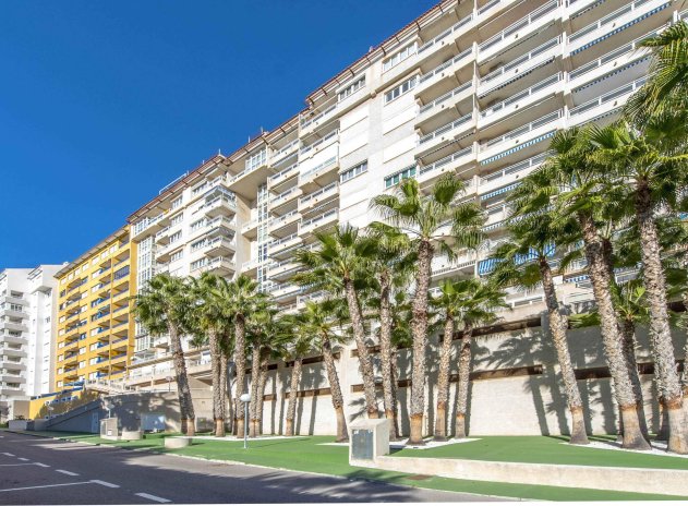 Reventa - Apartamento / piso - Orihuela Costa - Campoamor