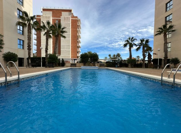 Wiederverkauf - Penthouse - Torrevieja - La Veleta