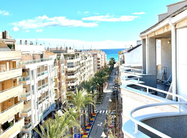 Alquiler a largo plazo - Ático - Torrevieja - Habaneras