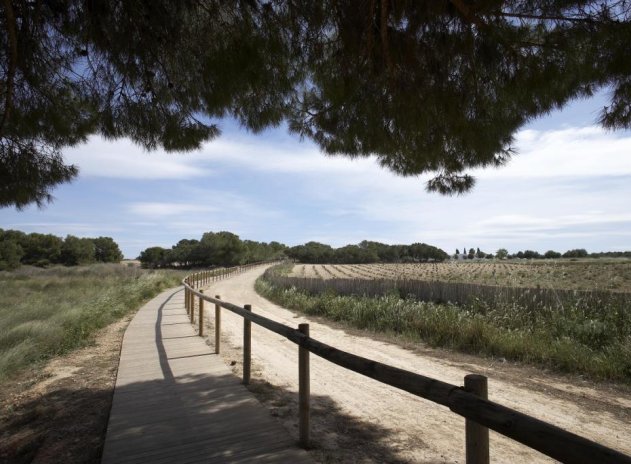 Neue Gebäude - Bungalow - Torrevieja - Torrejón