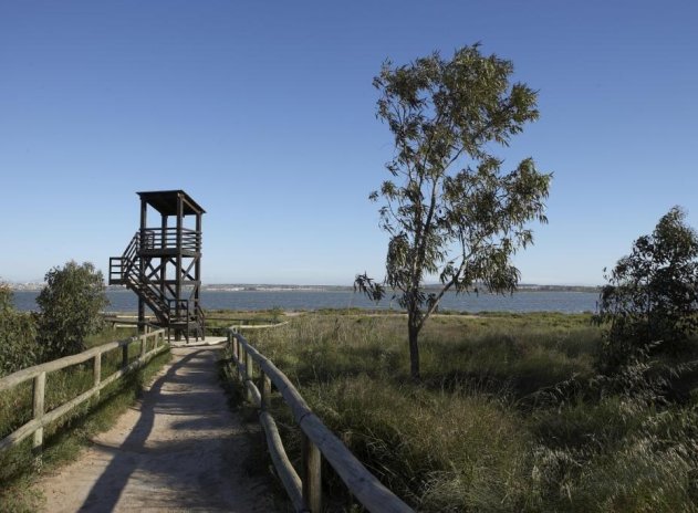 Neue Gebäude - Bungalow - Torrevieja - Aguas Nuevas