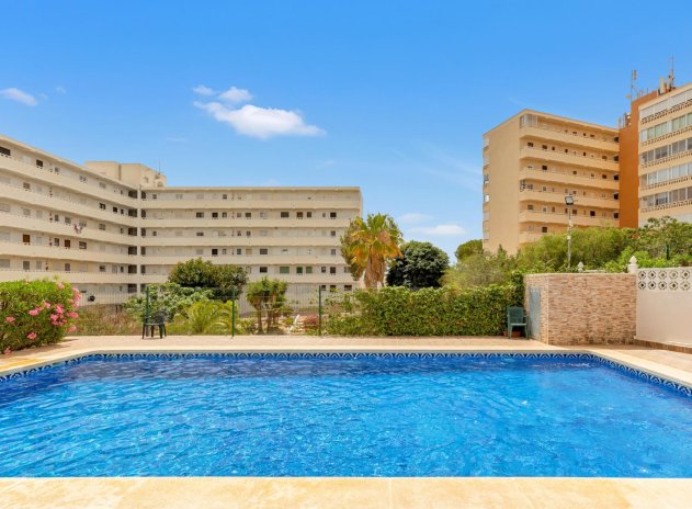 Herverkoop - Penthouse - Torrevieja - Torre la mata