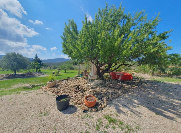 Wiederverkauf - Finca - Hondón de las Nieves