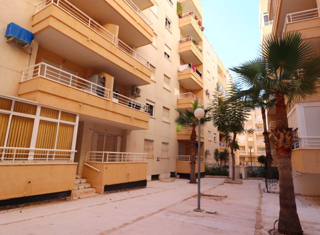 Herverkoop - Appartement / flat - Torrevieja - Torrevieja - Centre