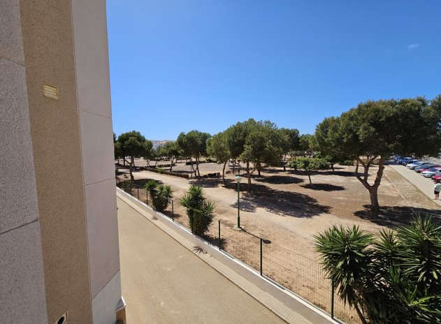 Herverkoop - Appartement / flat - La Zenia