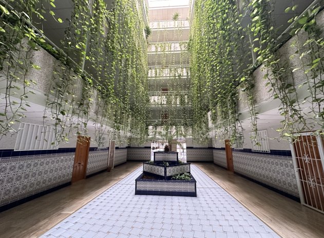 Revente - Appartement - Torrevieja