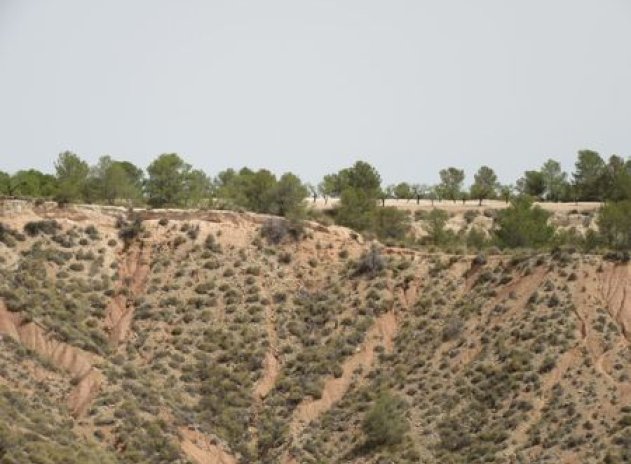 Reventa - Parcela - Murcia