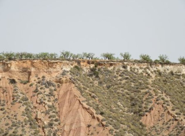 Reventa - Parcela - Murcia