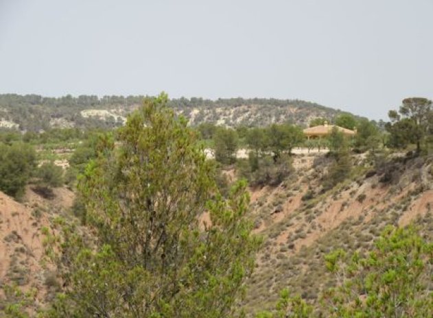 Reventa - Parcela - Murcia