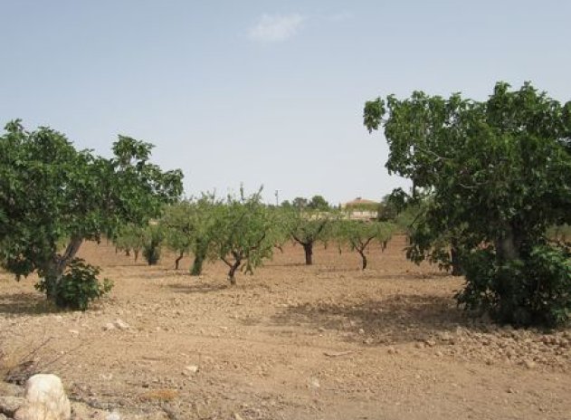 Reventa - Parcela - Murcia