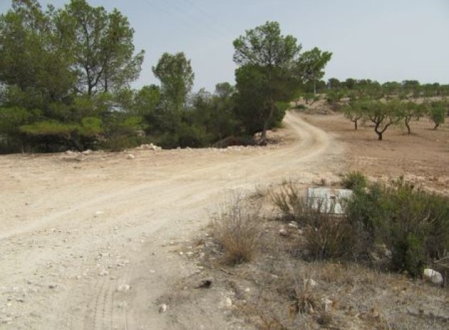 Reventa - Parcela - Murcia