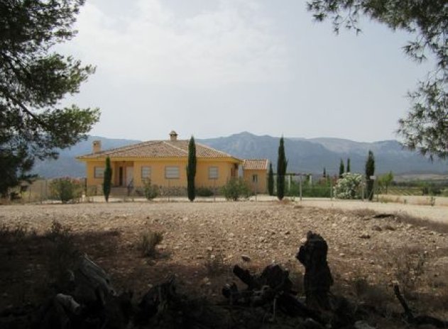 Reventa - Parcela - Murcia