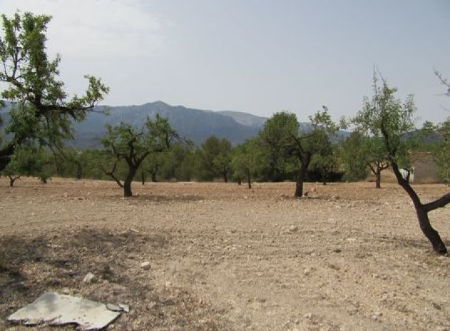 Reventa - Parcela - Murcia