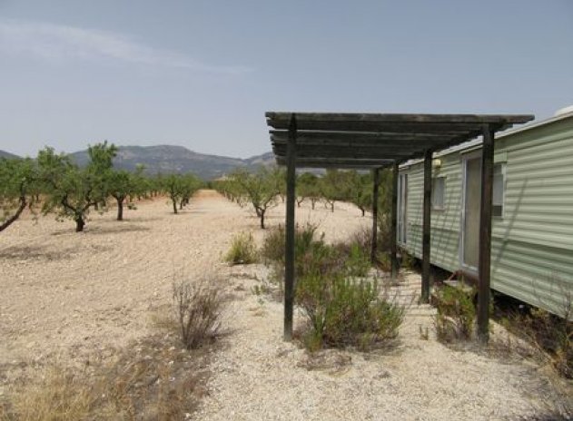 Reventa - Parcela - Murcia