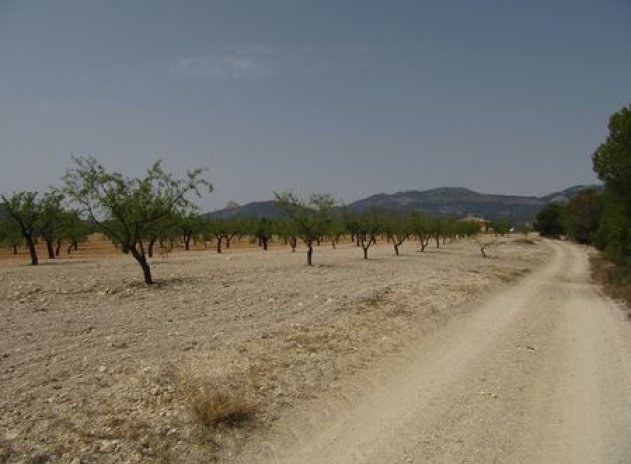 Reventa - Parcela - Murcia