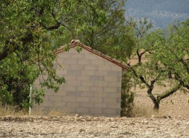 Reventa - Parcela - Murcia