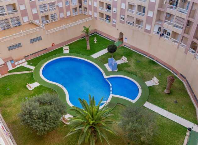 Herverkoop - Appartement / flat - Torrevieja - Parque las naciones