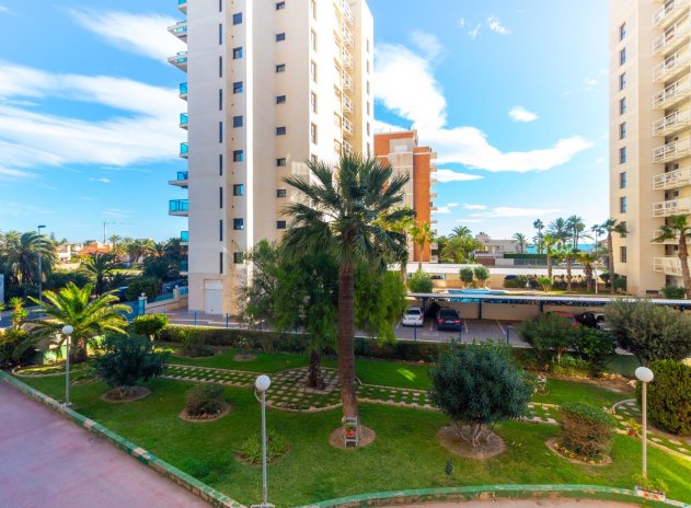 Herverkoop - Appartement / flat - Torrevieja - La Veleta