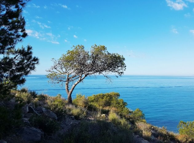 Neue Gebäude - Wohnung - Villajoyosa - Playas Del Torres