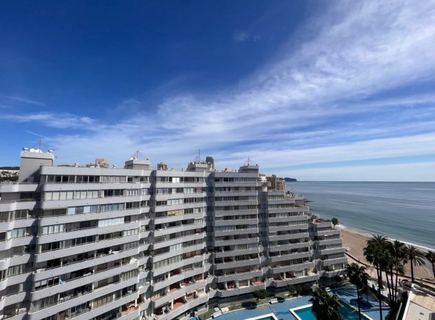 Neue Gebäude - Penthouse - Calpe - Playa De La Fossa