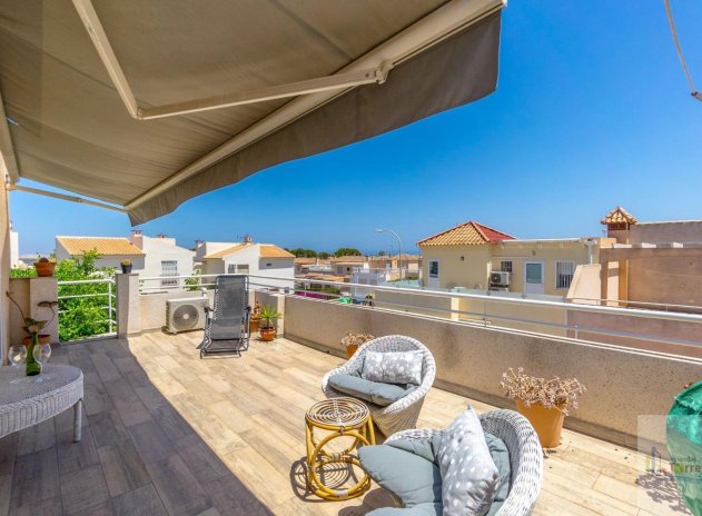 Wiederverkauf - Bungalow - Torrevieja - Los Altos