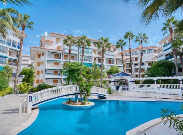 Herverkoop - Appartement / flat - Torrevieja - La Mata