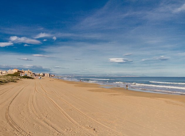 Obra nueva - Ático - Torrevieja - La Mata