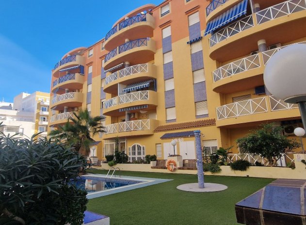 Herverkoop - Appartement / flat - Torrevieja