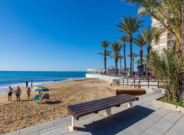 Herverkoop - Terraced house - Torrevieja - Estacion de autobuses