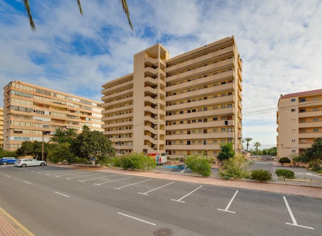 Reventa - Apartamento / piso - Torrevieja - Cabo cervera