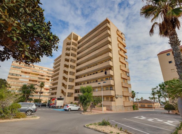 Reventa - Apartamento / piso - Torrevieja - Cabo cervera