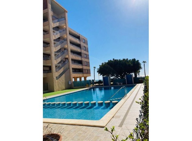 Herverkoop - Appartement / flat - Torrevieja - La Veleta