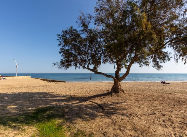 Wiederverkauf - Wohnung - Torrevieja - La Mata