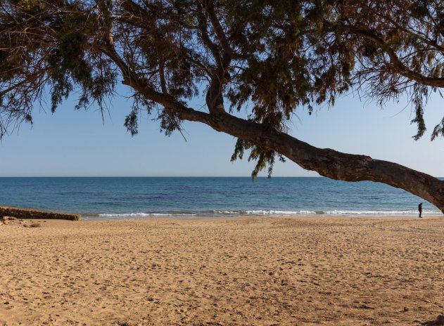 Wiederverkauf - Wohnung - Torrevieja - La Mata