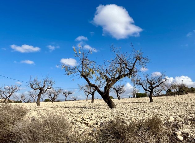 Herverkoop - Plot - Bullas - Costa Calida