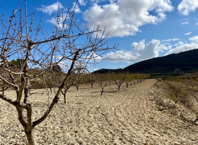 Herverkoop - Plot - Bullas - Costa Calida