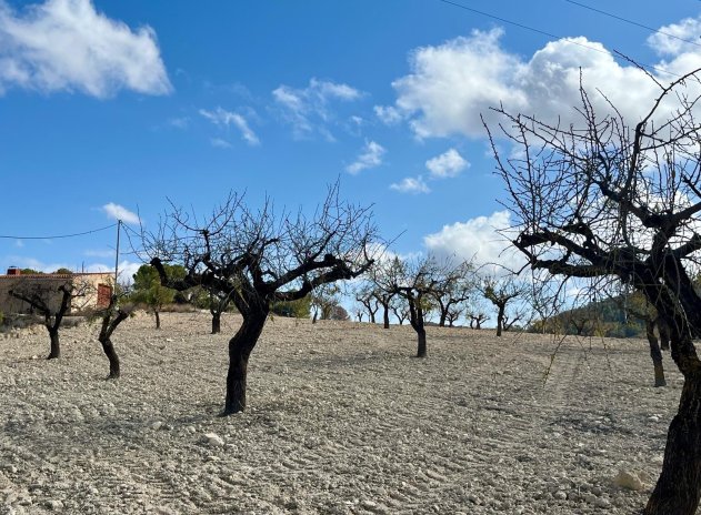 Herverkoop - Plot - Bullas - Costa Calida