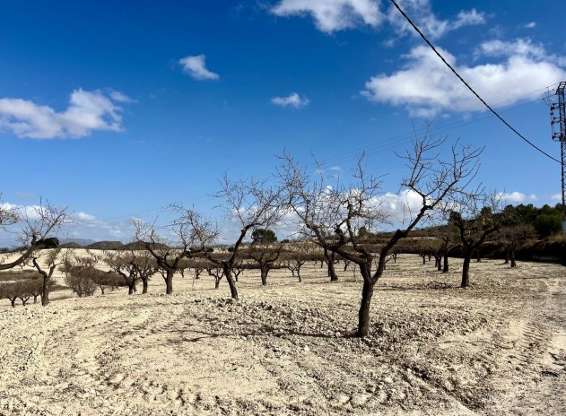 Herverkoop - Plot - Bullas - Costa Calida