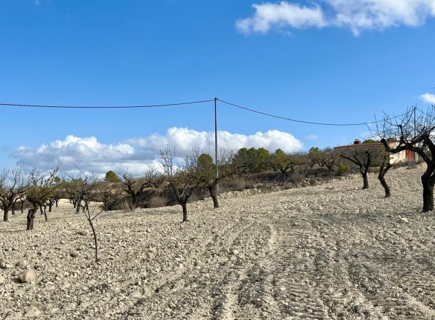 Herverkoop - Plot - Bullas - Costa Calida