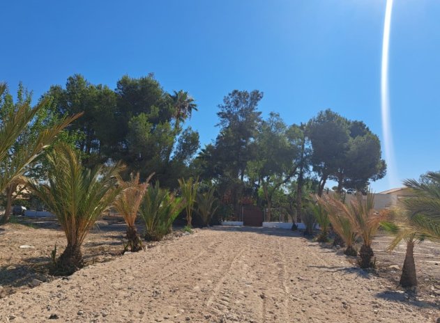 Herverkoop - Finca - Orihuela