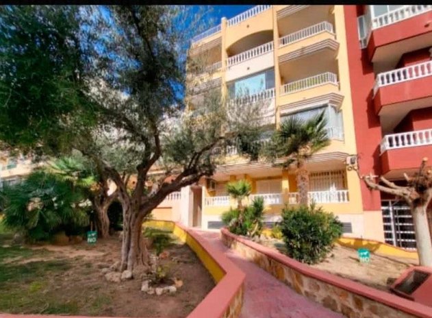 Herverkoop - Appartement / flat - Torrevieja - Playa de los Locos