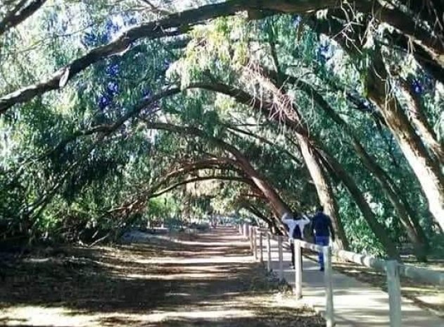 Neue Gebäude - Wohnung - Torrevieja