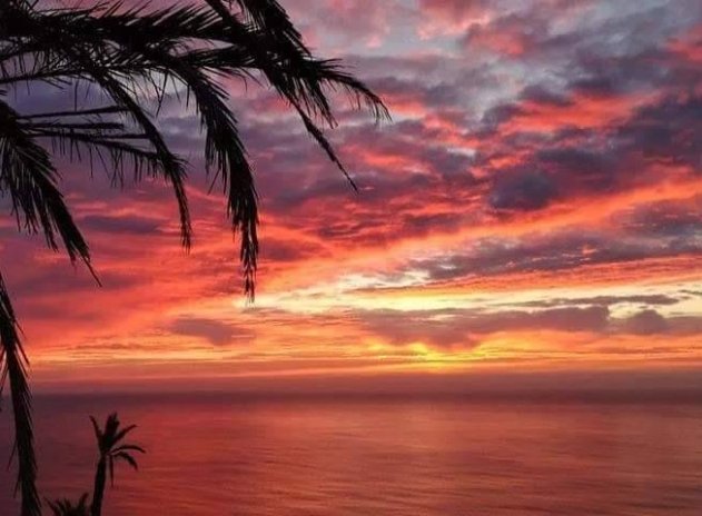 New Build - Apartment / Flat * - Torrevieja *