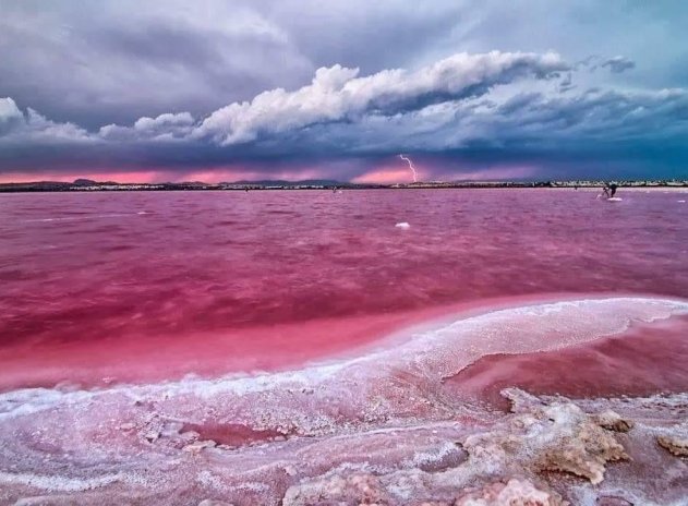 New Build - Apartment / Flat * - Torrevieja *